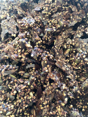 Raw & Sprouted Buckwheat Granola - CACAO CRUNCH